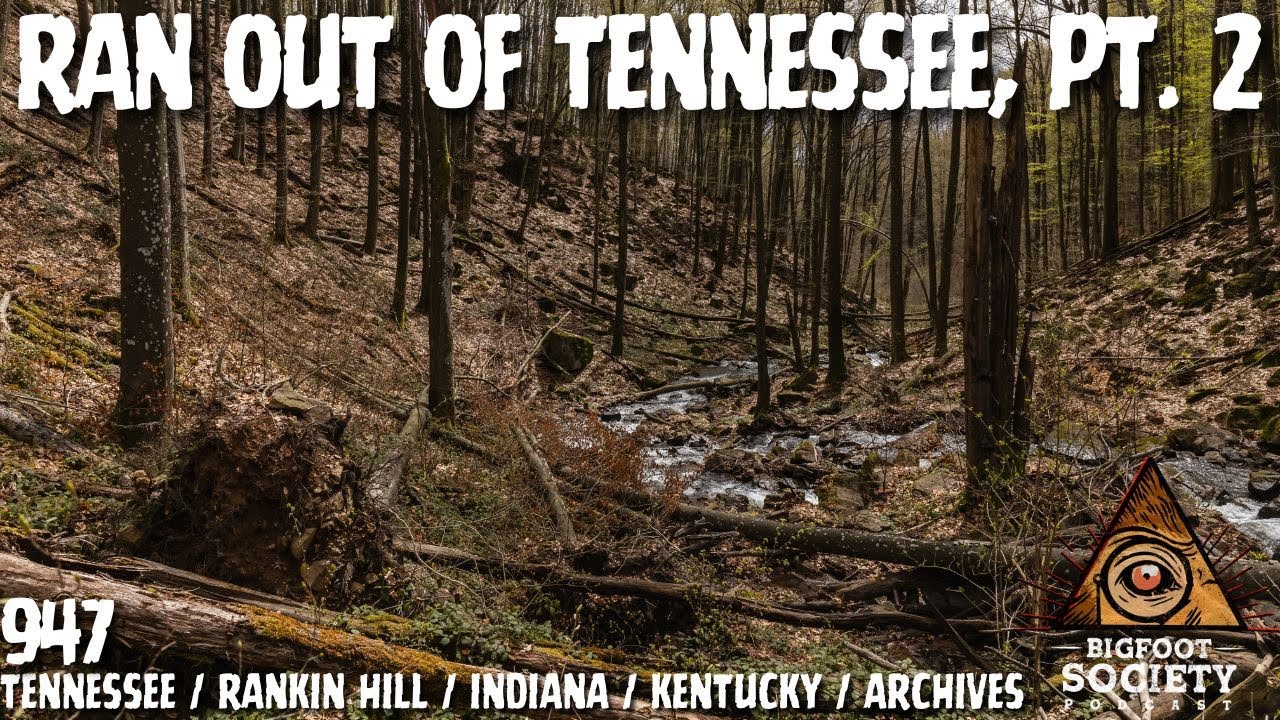 Bigfoot Ran Us Out of Tennessee Pt. 2: The Mammoth Cave Encounters | Archives