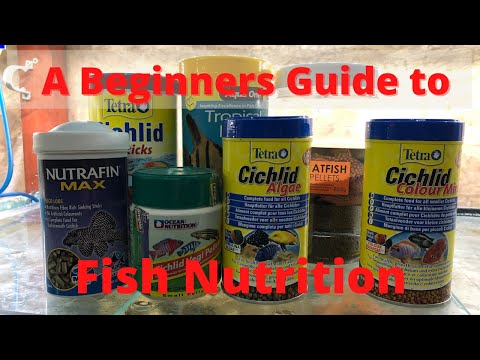 Beginners Guide to Fish Nutrition