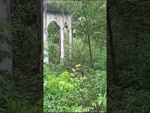 ruínas do trecho do garimpo de esmeraldas de campos verdes Goiás assista ao vídeo completo no canal