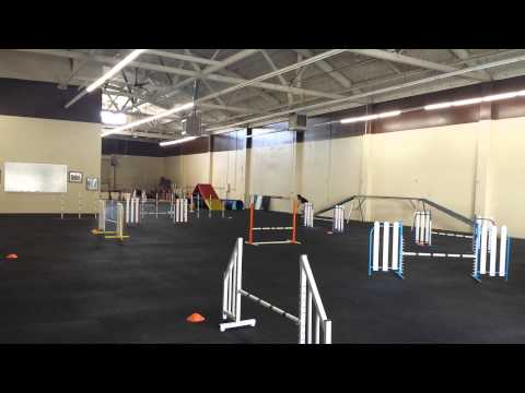 Bev and Pixie 3/19/2014