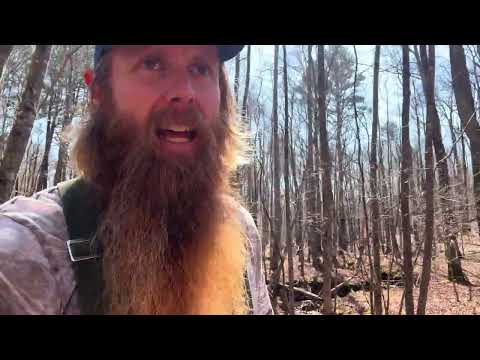 United States, Iran & Epstein Files