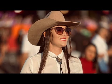 Piseiro do TikTok 2024 - As Mais Tocadas Outubro 2024 (Piseiro, Forró e Vaquejada)