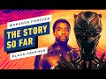 Black Panther: Wakanda Forever and Tragedy in the MCU | The Story So Far