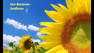 Hen Beniamin - Sunflower (Preview) חן בנימין