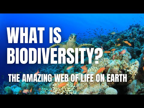 Biodiversity
