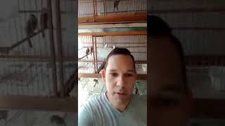Infertilidade causas e tratamentos.
