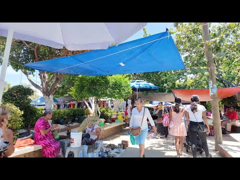 COSTA CHICA MARKETS | NANCHES AND SOYAMICHE IN SAN MARCOS, GRO.