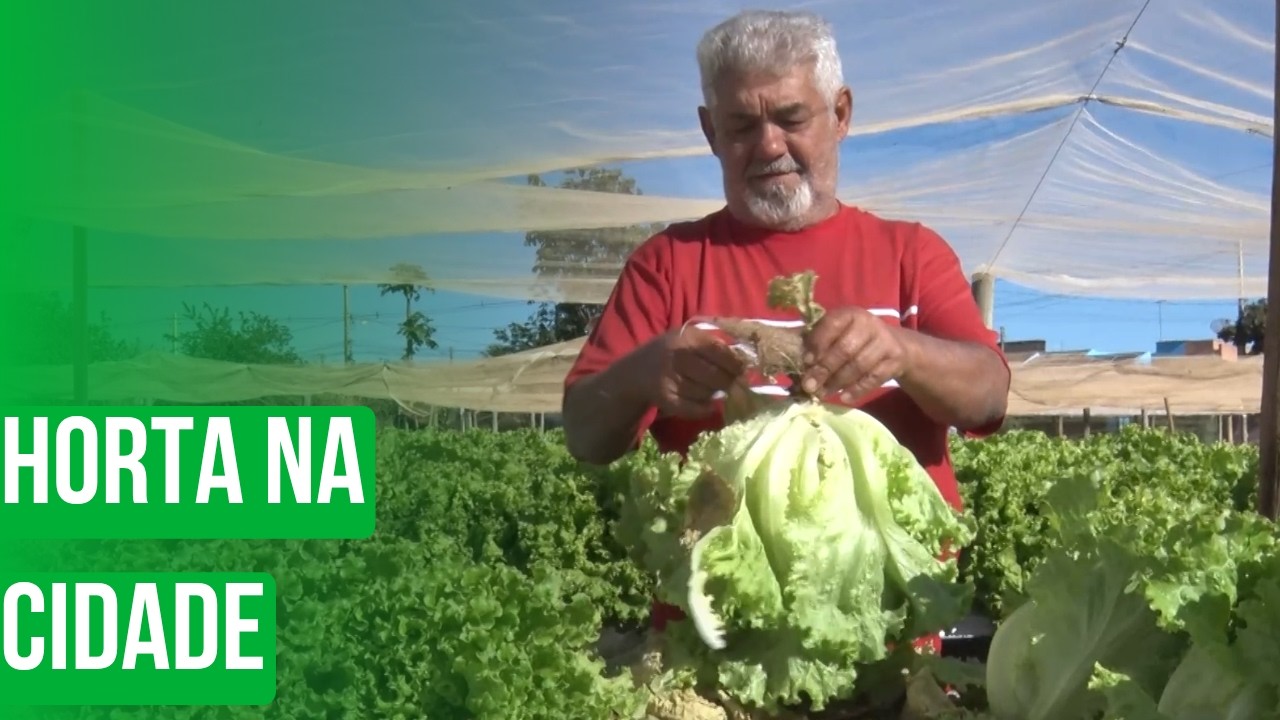 Horta na cidade