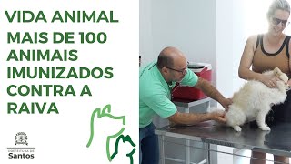 Vida Animal - Mais de 100 animais imunizados contra a raiva