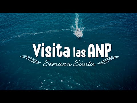 CINCO ÁREAS NATURALES PROTEGIDAS PARA VISITAR EN SEMANA SANTA, video de YouTube