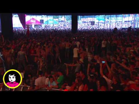 FIDDLER'S GREEN - Live at PINKPOP 2015 [Full Concert]