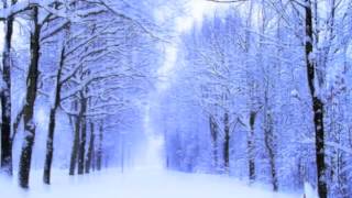 I´ve Got My Love To Keep Me Warm - Dean Martin (Cover) - Remake - Erwin Adelmann