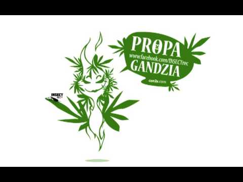 con3x(INSECT) - Pestka (Riddim Instrumental) 2013