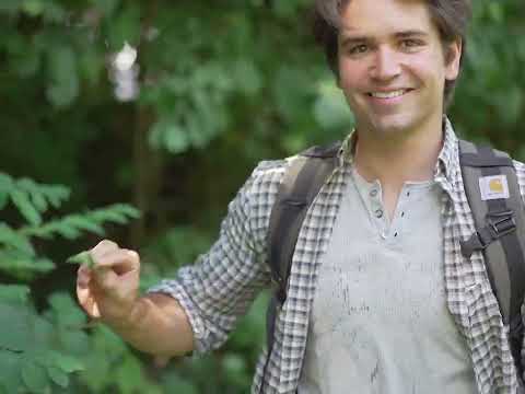 TEASER | Les Envies Sauvages, le TTO au Lac de Genval