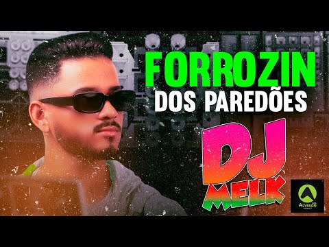 FORROZIN DOS PAREDÕES 2K24 - DJ MELK - MÚSICAS NOVAS - AS MELHORES DO TIKTOK 2024
