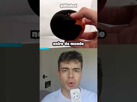 C'est la peinture la plus noire du monde