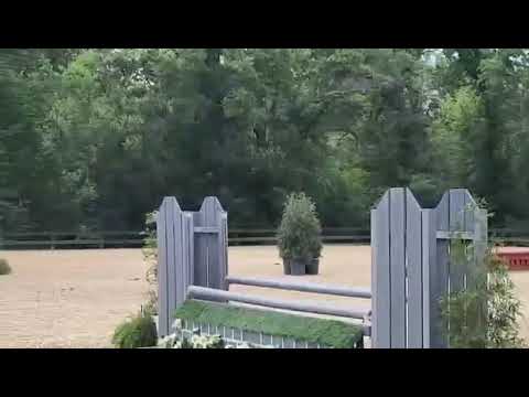 Candlemas video 2