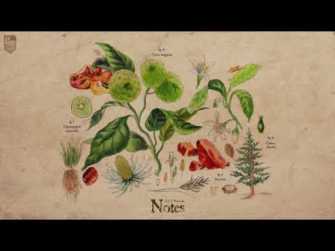 .Sinh & Massaman - Notes [EP]