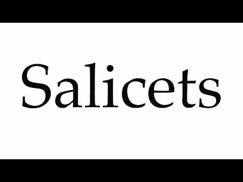 How to Pronounce Salicets