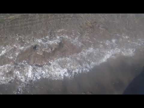 Capachica😊 - Playa Ccotos