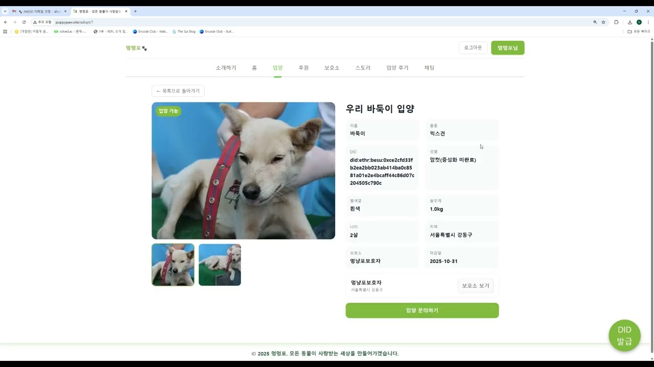 반려동물 등록 및 입양