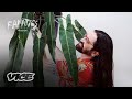 I Was Accused Of Stealing The World S Rarest Plant FANATICS THE DEEP END