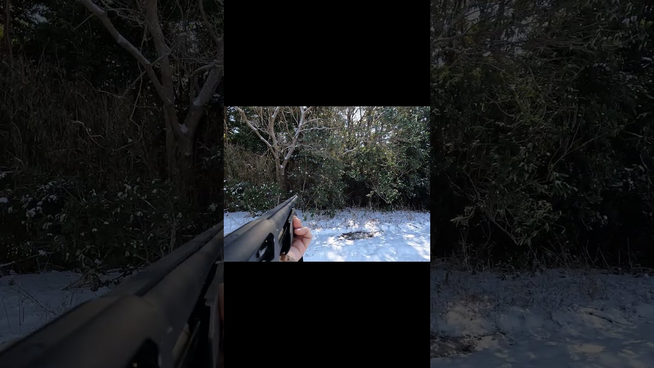 【狩猟】雪の森を索敵 | FJCLUB