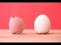 View 24 Best Way To Peel Boiled Eggs