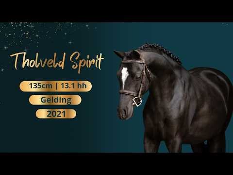 Tholveld Spirit video 1