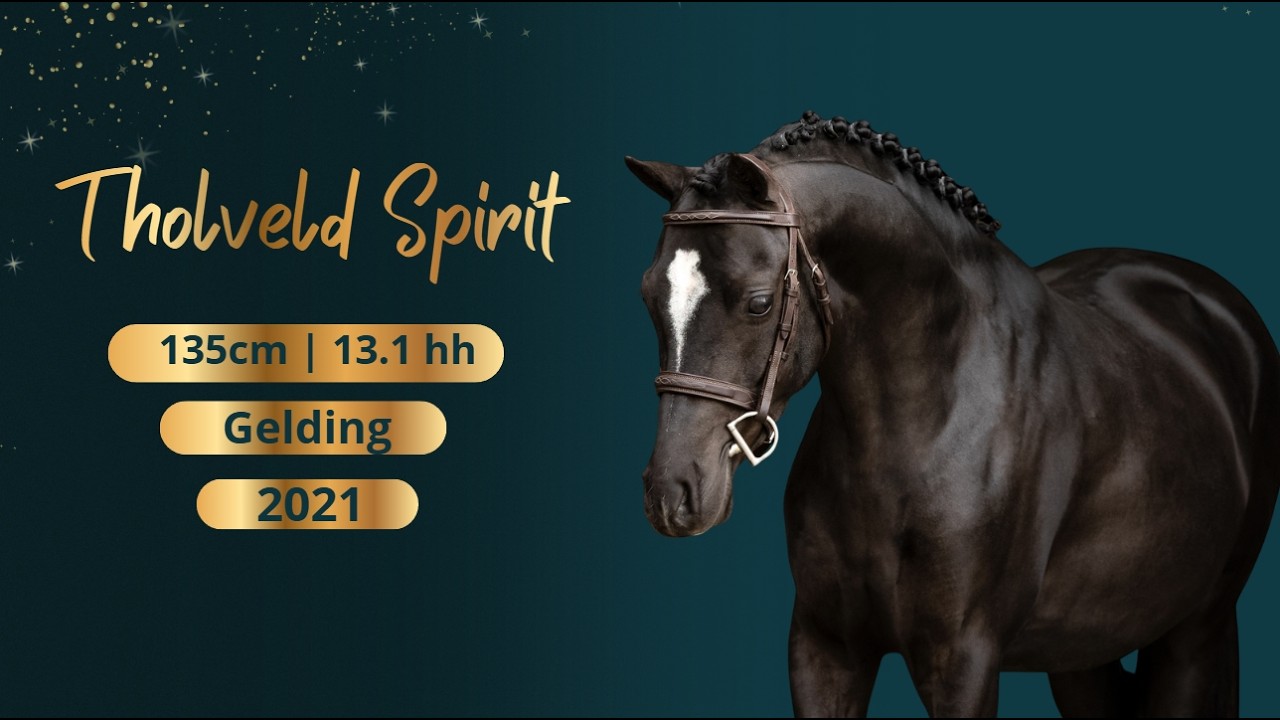 Tholveld Spirit video 1
