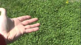 Wicked Heart - Tristen