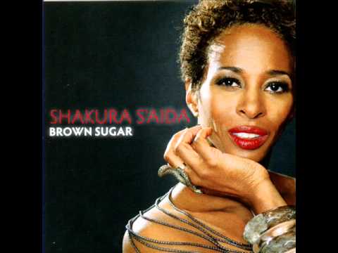 Thumbnail for Shakura S'Aida - Did It Break Your Heart by Stevie Ray Vaughan
