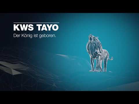KWS TAYO - Der König ist geboren.