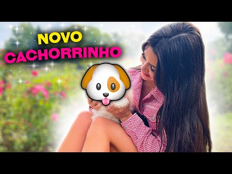 I WON A PUPPY! ❤️ best surprise!