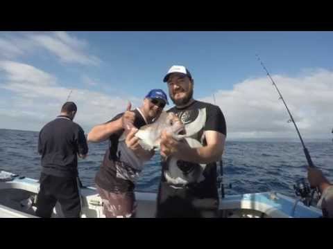 Stanwell Park SNAPPERATHON