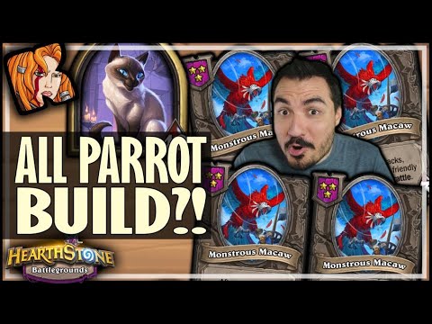 THE ALL PARROT BUILD! - Hearthstone Battlegrounds