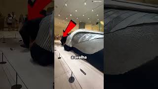 O cachorro protege a todos