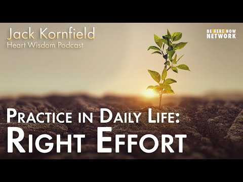 Jack Kornfield on Practice in Daily Life: Right Effort - Heart Wisdom Ep. 164