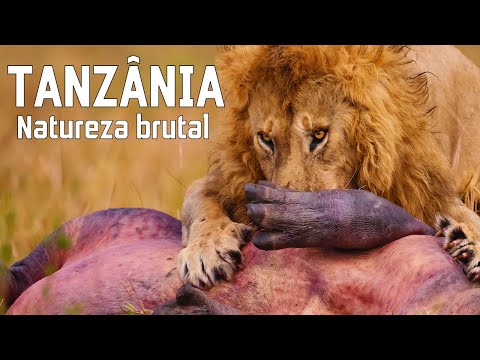 TANZÂNIA SELVAGEM | Natureza impiedosa e tribos ancestrais