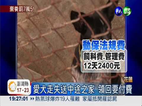 花蓮重罰"棄養" 最高可罰7萬5