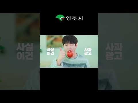 요즘 사과 값 왜 이래… 근데 먹어보면 말 바뀜 