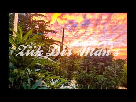 Dj Zinox x Lil Wayne Ft. Sean Kingston - I'm At War [Reggae Remix]°•ßя†н`BŁZИ!