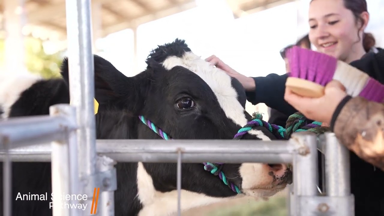 AVHS CTE Programs 2024-2025