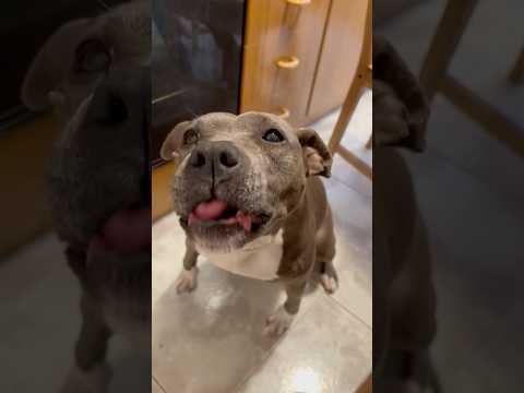 “She loves apples 🍎”