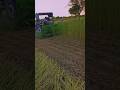Sesame Harvester Harvester Harvest Combineharvester