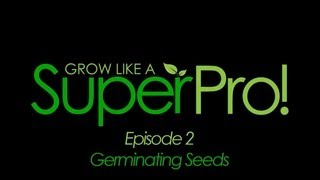 How to Germinate Seeds for Hydroponics | How to Grow Indoor Plants