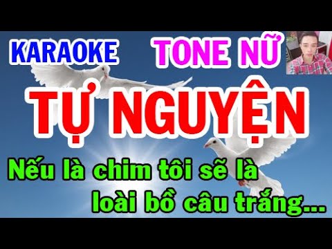 Karaoke  Tự Nguyện  Tone Nữ  Nhạc Sống  gia huy karaoke