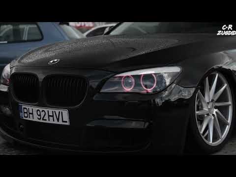 T1One  -конь  Вороной