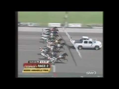 2009 Meadowlands POOF SHE'S GONE David Miller Merrie Annabelle Final $525,800