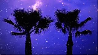 Cover art for we are